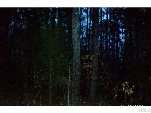 Rhodes Road Apex, NC 27539 - Photo 1 of 3 Photo 1
