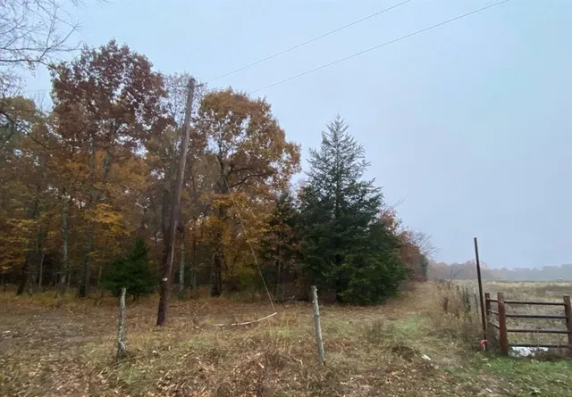 a view of an outdoor space