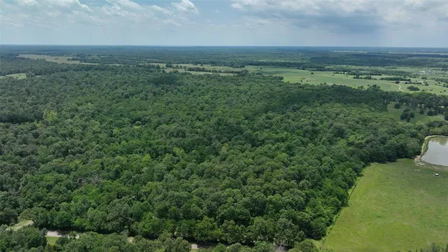 a view of a green field with lots of bushes