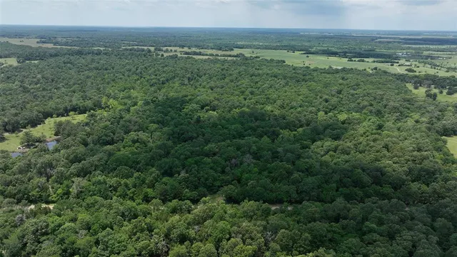 an aerial view of residential houses with outdoor space and trees