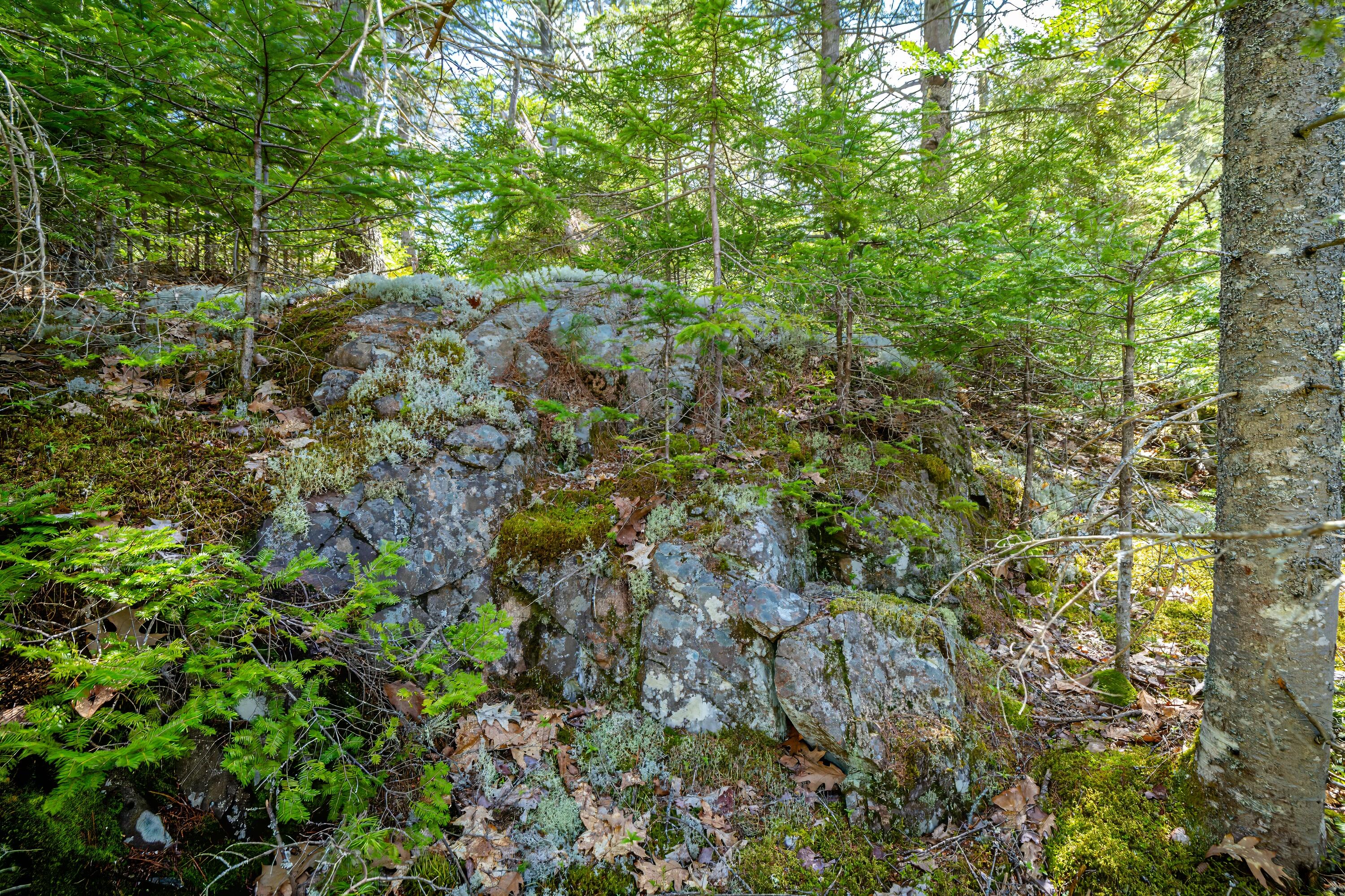 Lot 9 Bluff Road Bar Harbor, ME 04609 - Photo 22 of 33 Copy of 59-Lot 9, Bluff Road-DTP