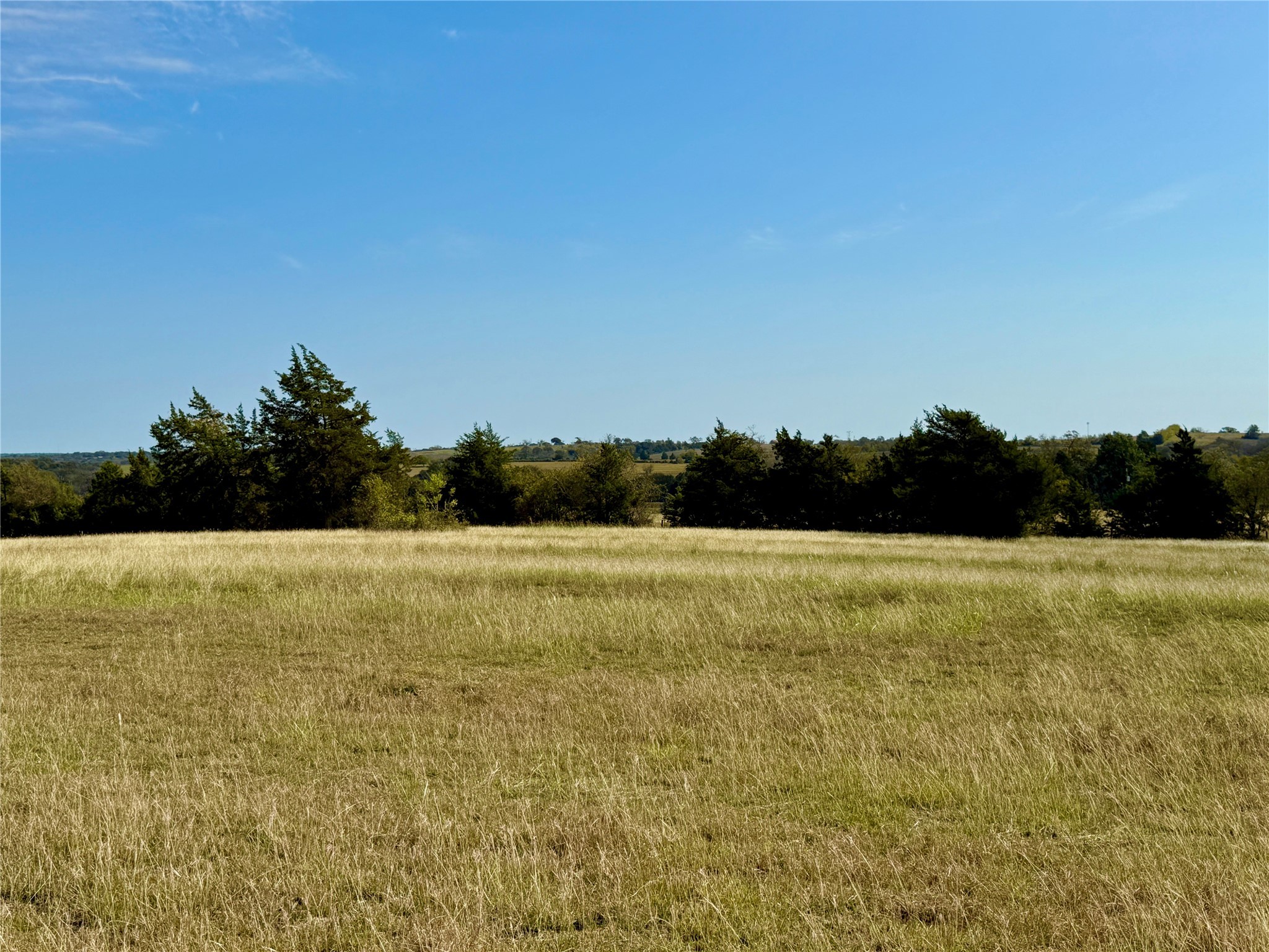 2220 Boehnemann Road Burton, TX 77835 - Photo 12 of 19 a view of an ocean from a yard
