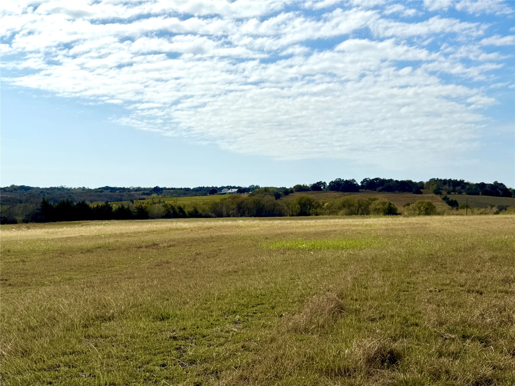 2220 Boehnemann Road Burton, TX 77835 - Photo 14 of 19