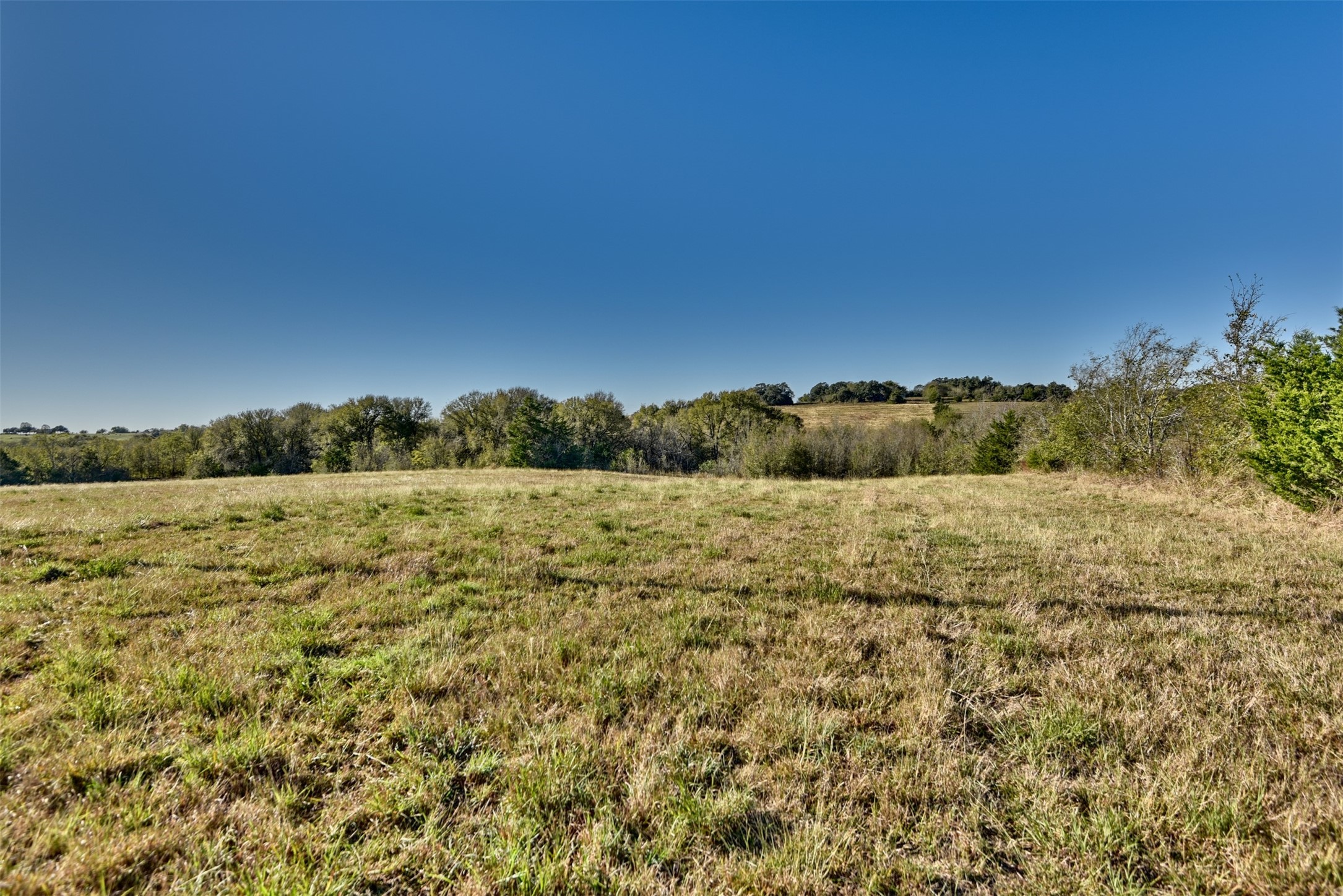 2220 Boehnemann Road Burton, TX 77835 - Photo 17 of 19 a view of a yard with an outdoor space