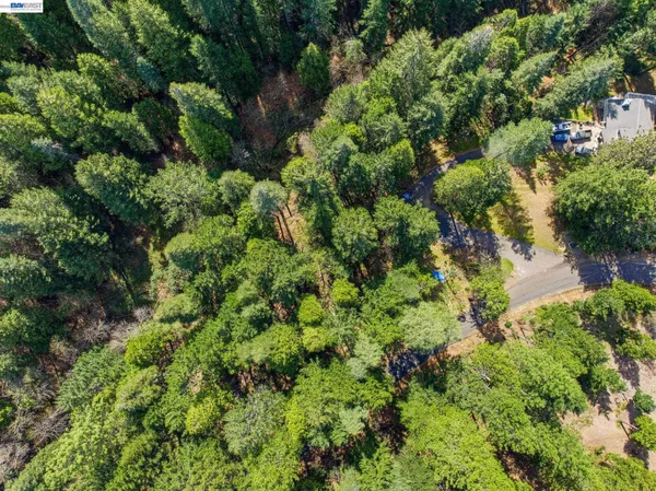 an aerial view of a house with a lush green forest