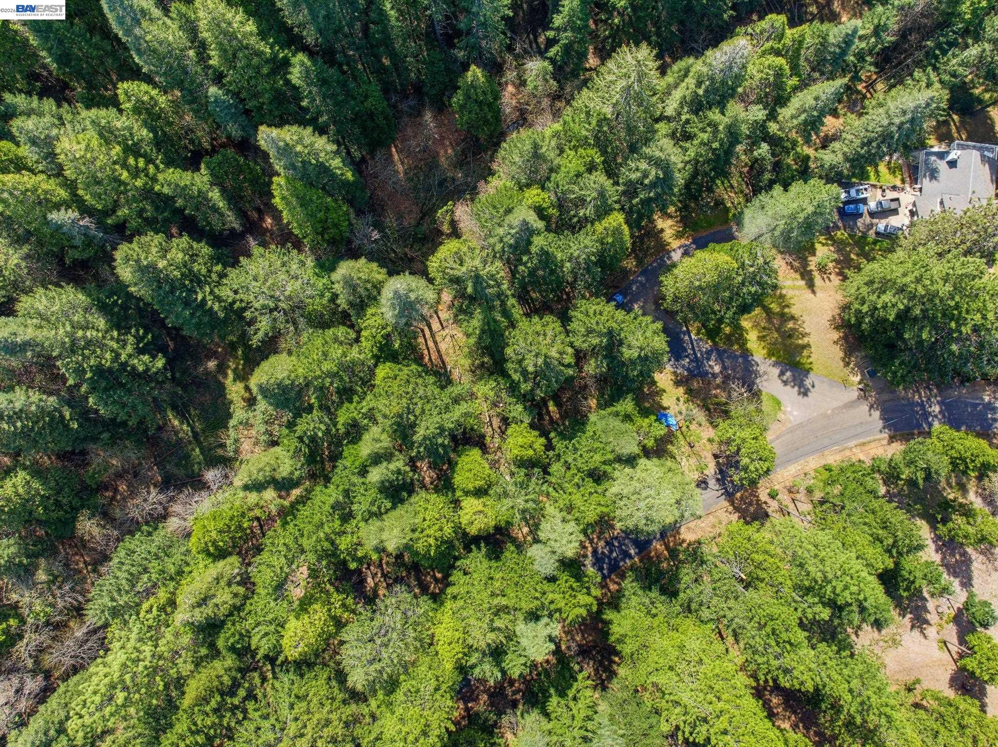 5890 Starkes Grade Road Pollock Pines, CA 95726 - Photo 11 of 22 an aerial view of a house with a lush green forest