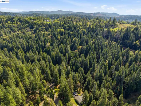 a view of a city with lush green forest