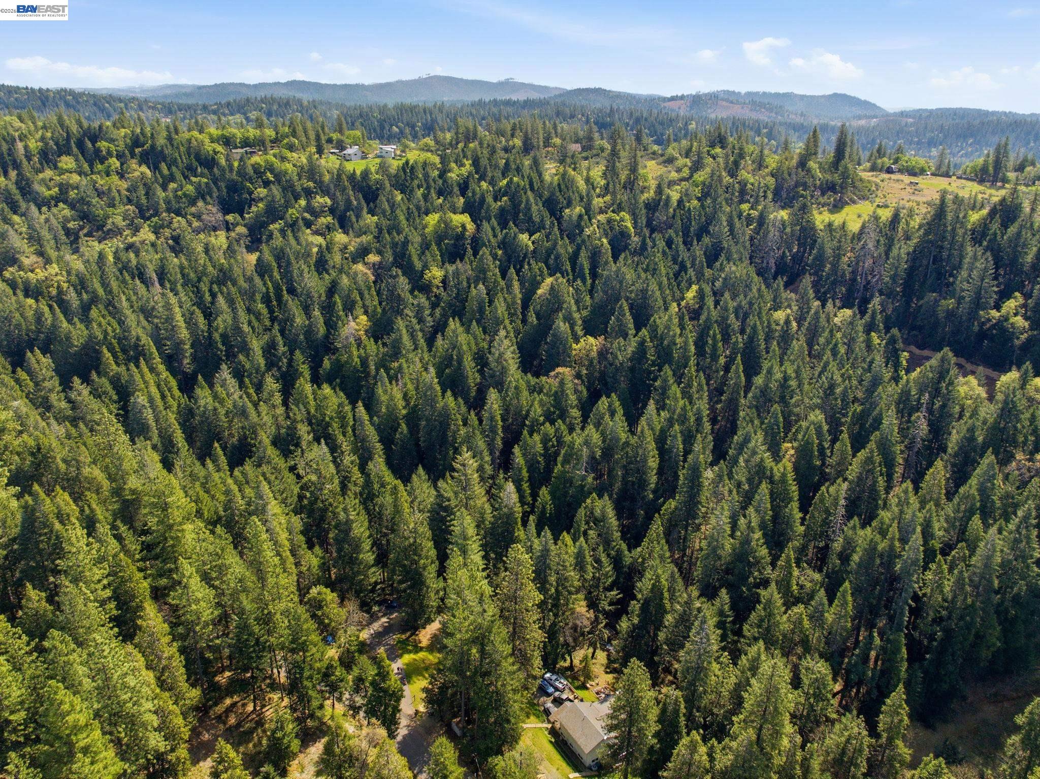 5890 Starkes Grade Road Pollock Pines, CA 95726 - Photo 12 of 22 a view of a city with lush green forest