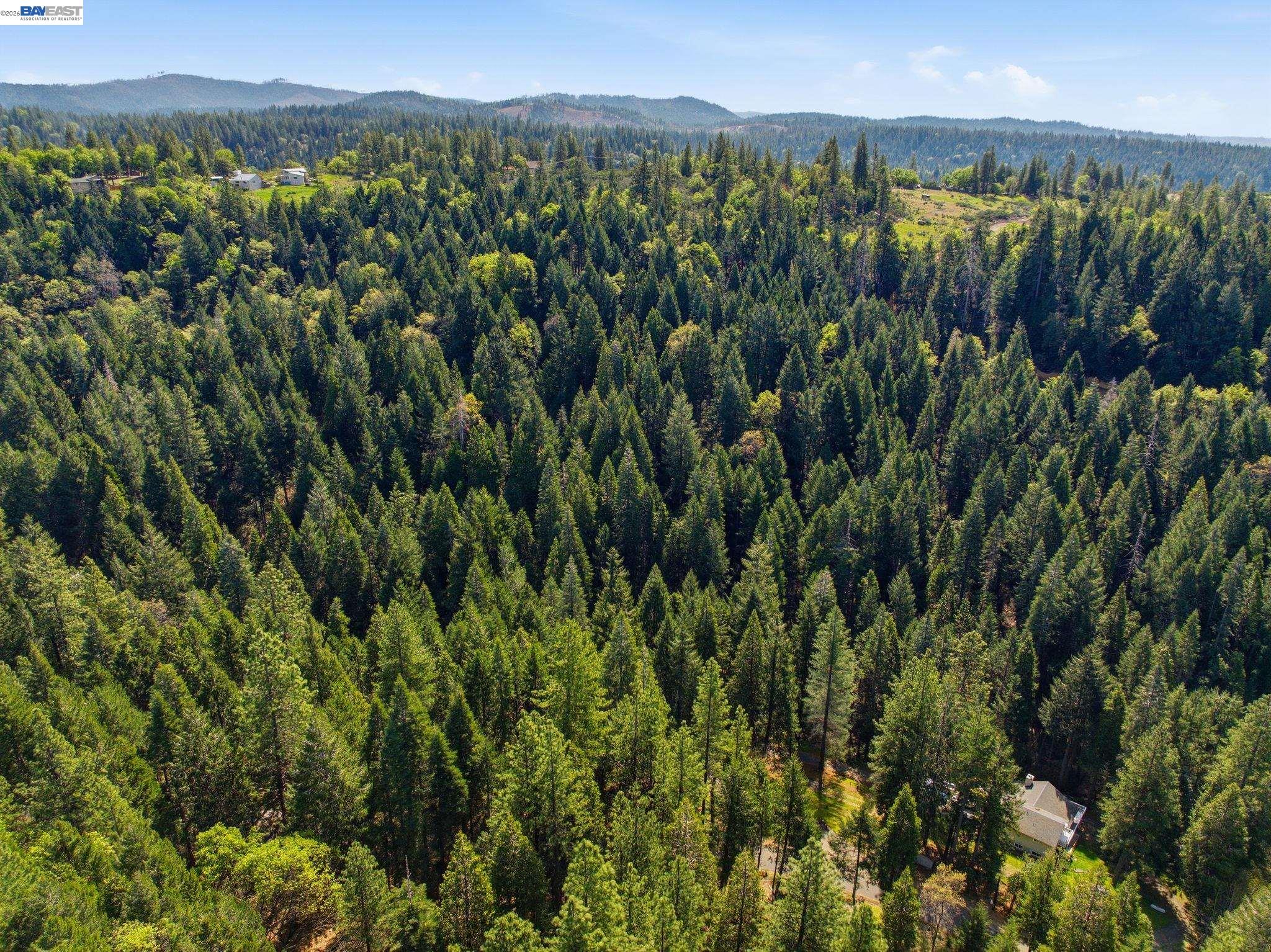 5890 Starkes Grade Road Pollock Pines, CA 95726 - Photo 13 of 22 a view of a lush green forest with a building in the background