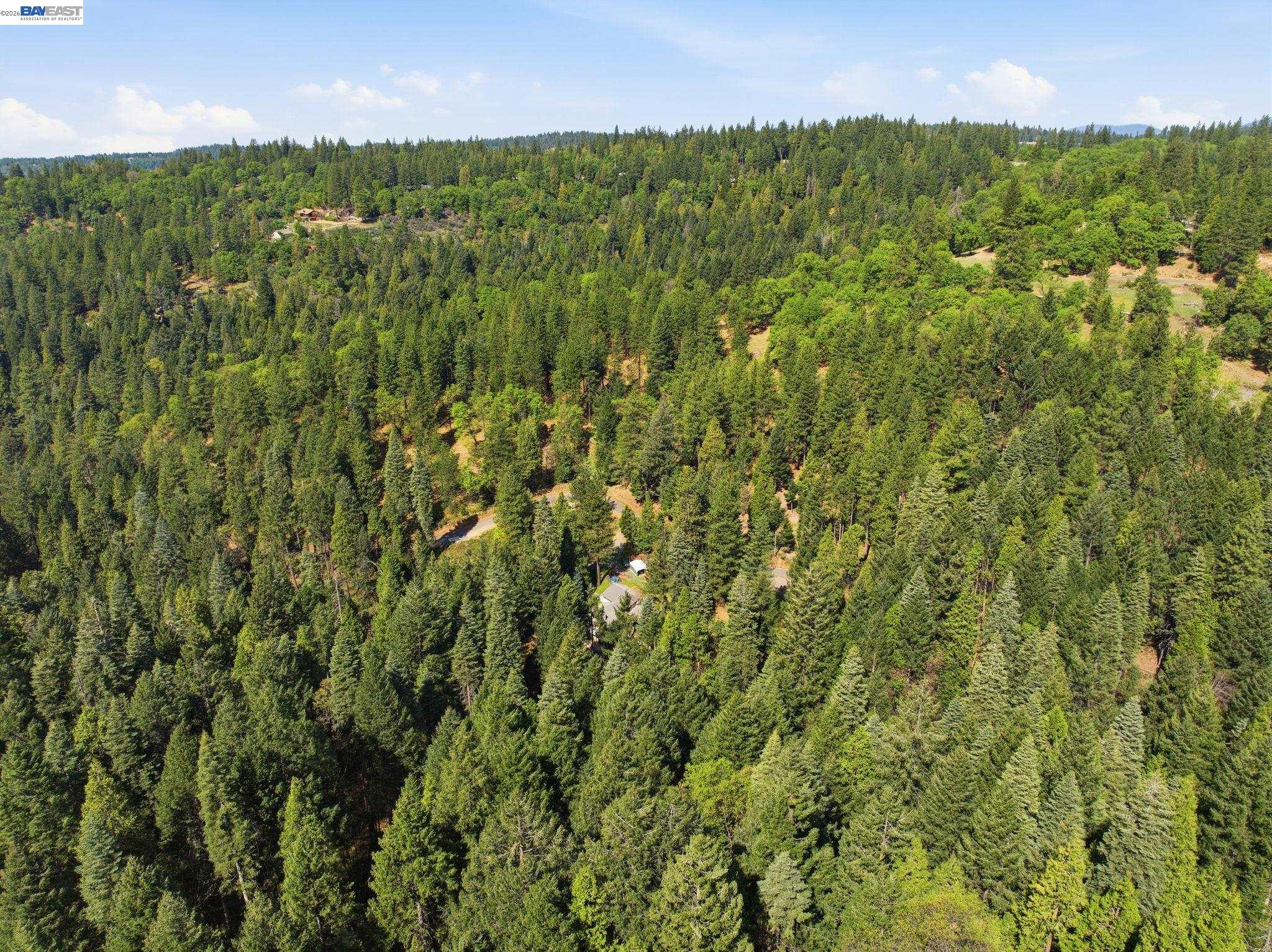 5890 Starkes Grade Road Pollock Pines, CA 95726 - Photo 15 of 22