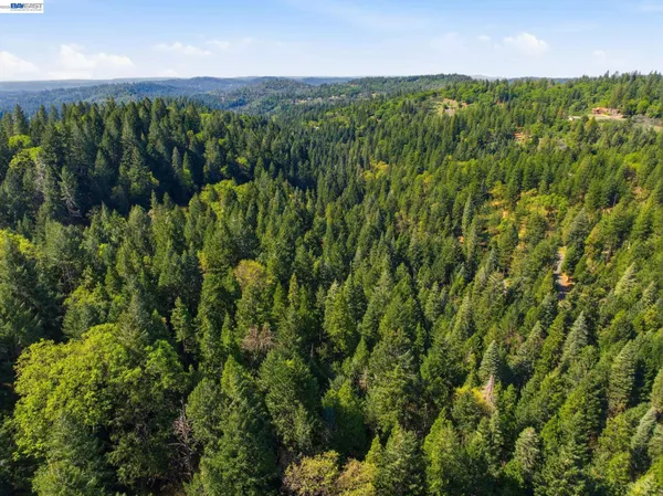 a view of a green field with lots of bushes