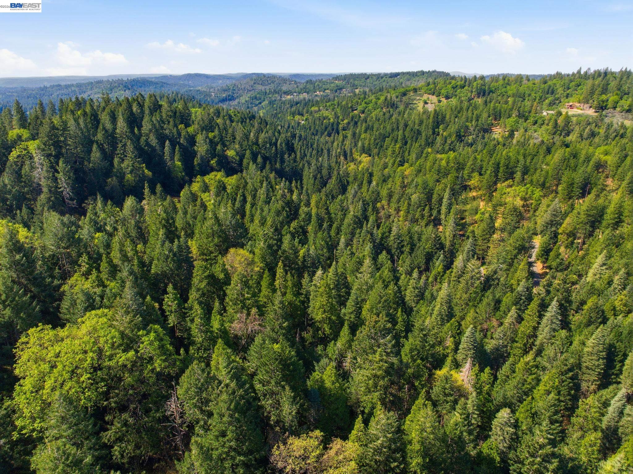 5890 Starkes Grade Road Pollock Pines, CA 95726 - Photo 17 of 22 a view of a lush green forest with a houses