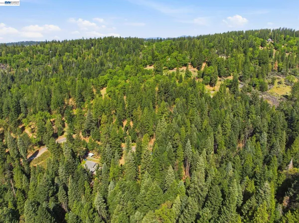 a view of a green field