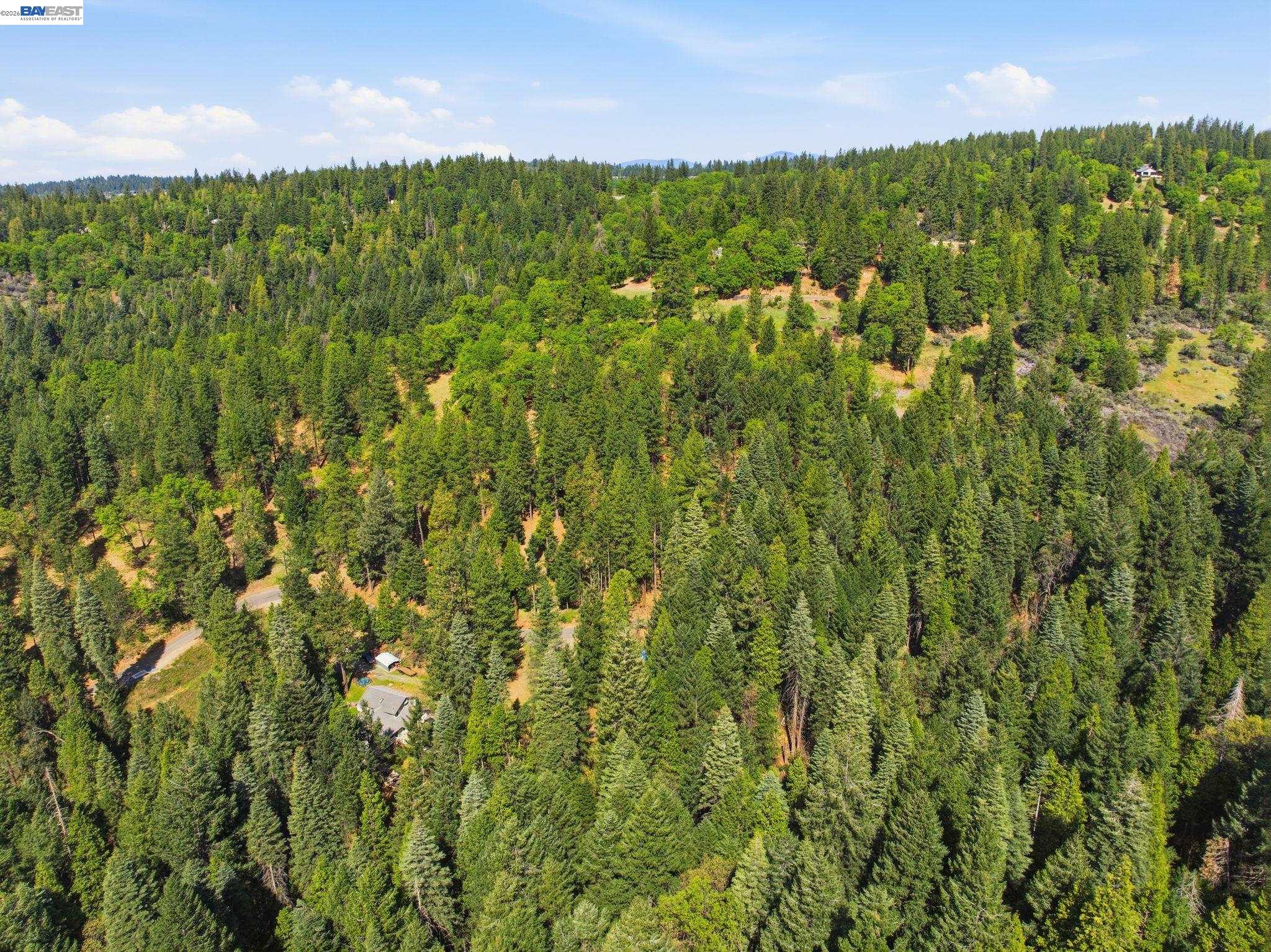 5890 Starkes Grade Road Pollock Pines, CA 95726 - Photo 18 of 22 a view of a green field with lots of bushes