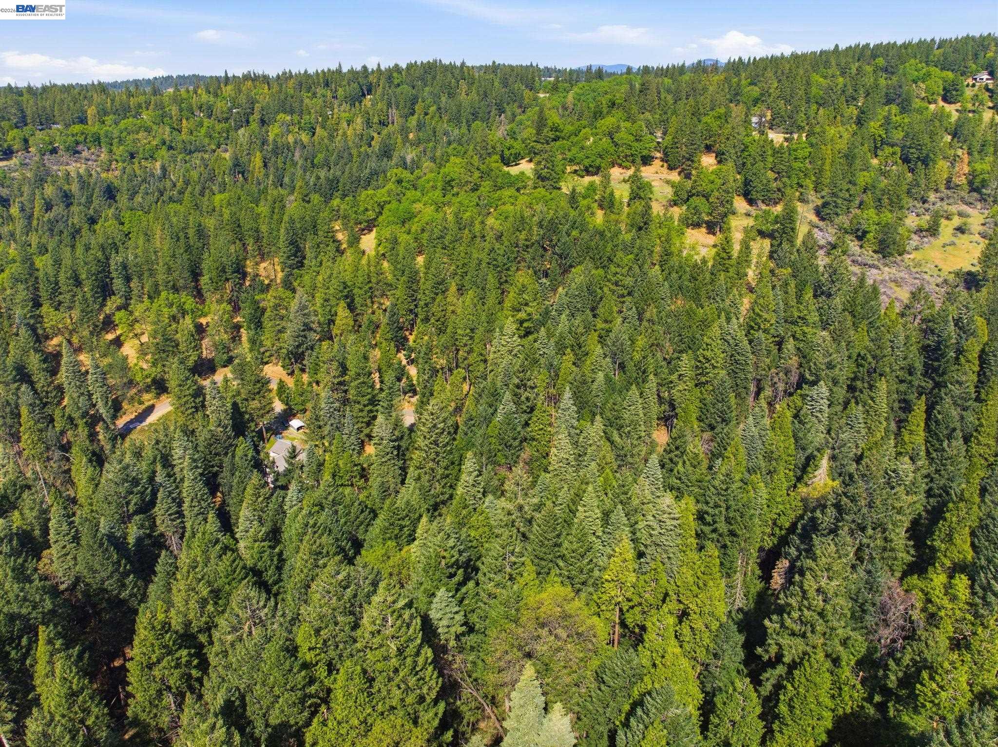 5890 Starkes Grade Road Pollock Pines, CA 95726 - Photo 19 of 22 a view of a green field