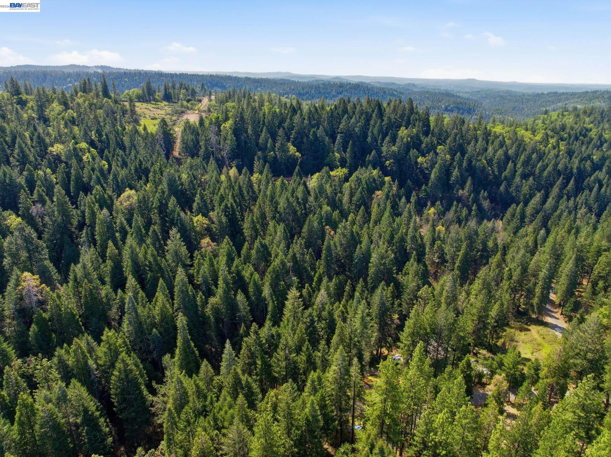 5890 Starkes Grade Road Pollock Pines, CA 95726 - Photo 20 of 22 a view of a green yard