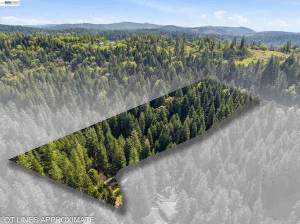 a view of a lake with a mountain in the background