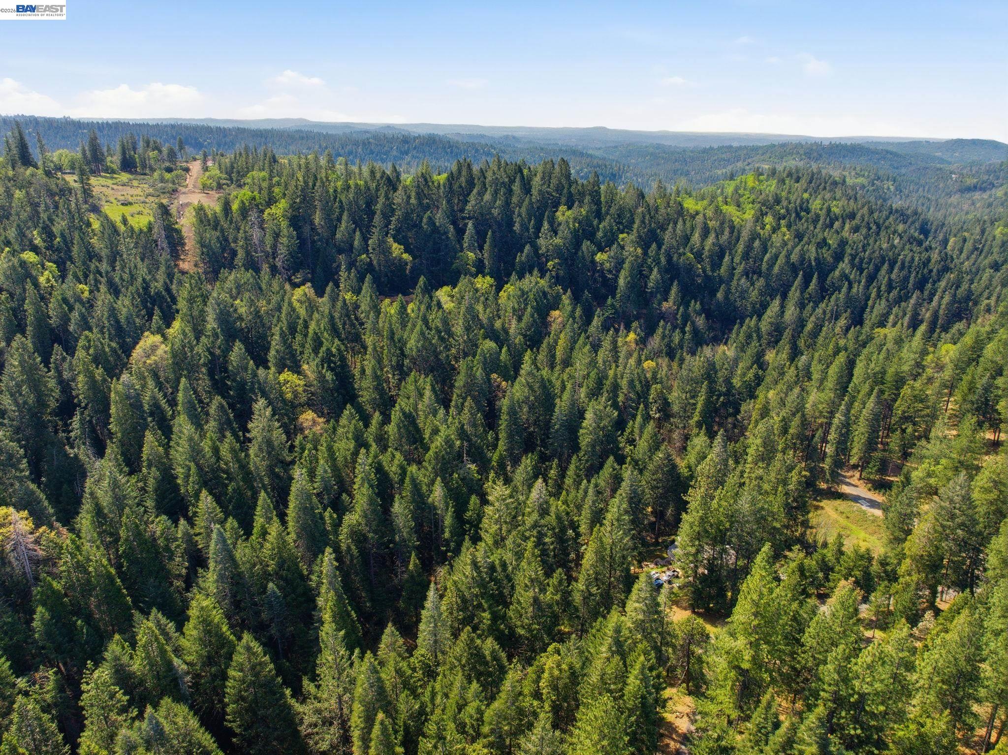 5890 Starkes Grade Road Pollock Pines, CA 95726 - Photo 21 of 22 a view of a green yard