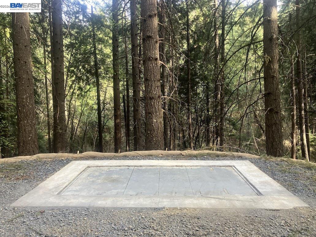 5890 Starkes Grade Road Pollock Pines, CA 95726 - Photo 4 of 22 a view of a yard with large trees