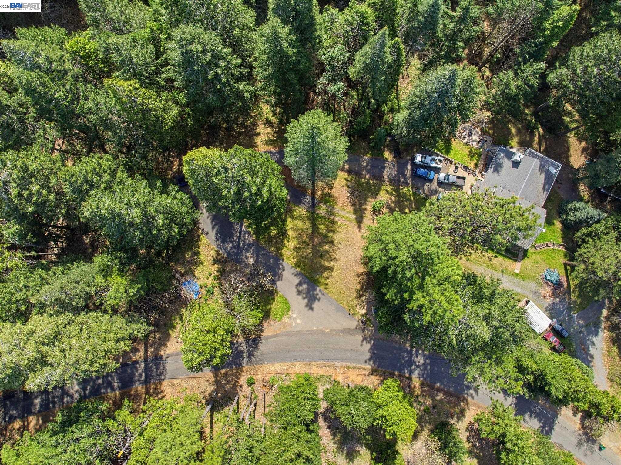 5890 Starkes Grade Road Pollock Pines, CA 95726 - Photo 5 of 22 a picture of trees