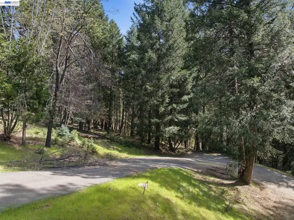 a view of yard with tree