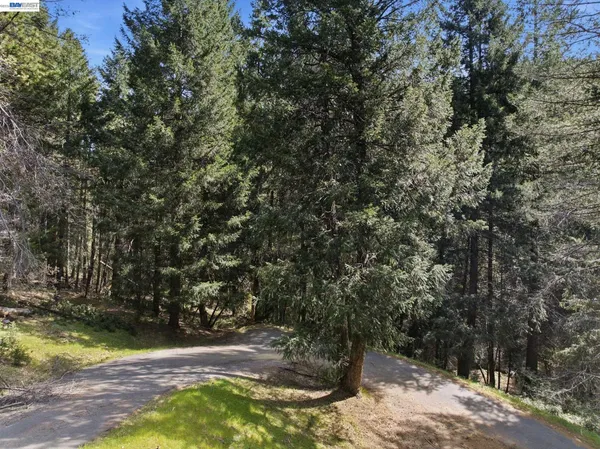 a view of outdoor space and yard
