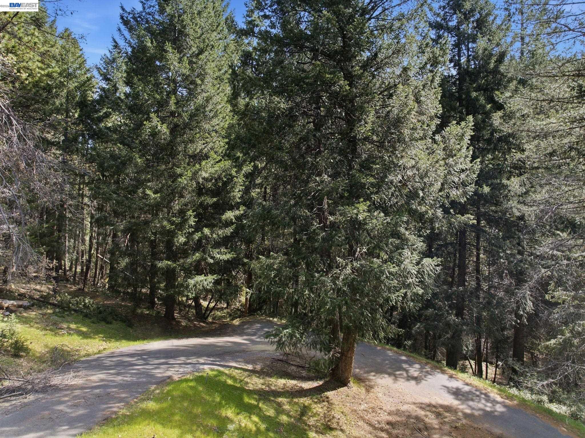 5890 Starkes Grade Road Pollock Pines, CA 95726 - Photo 8 of 22 a view of outdoor space and yard