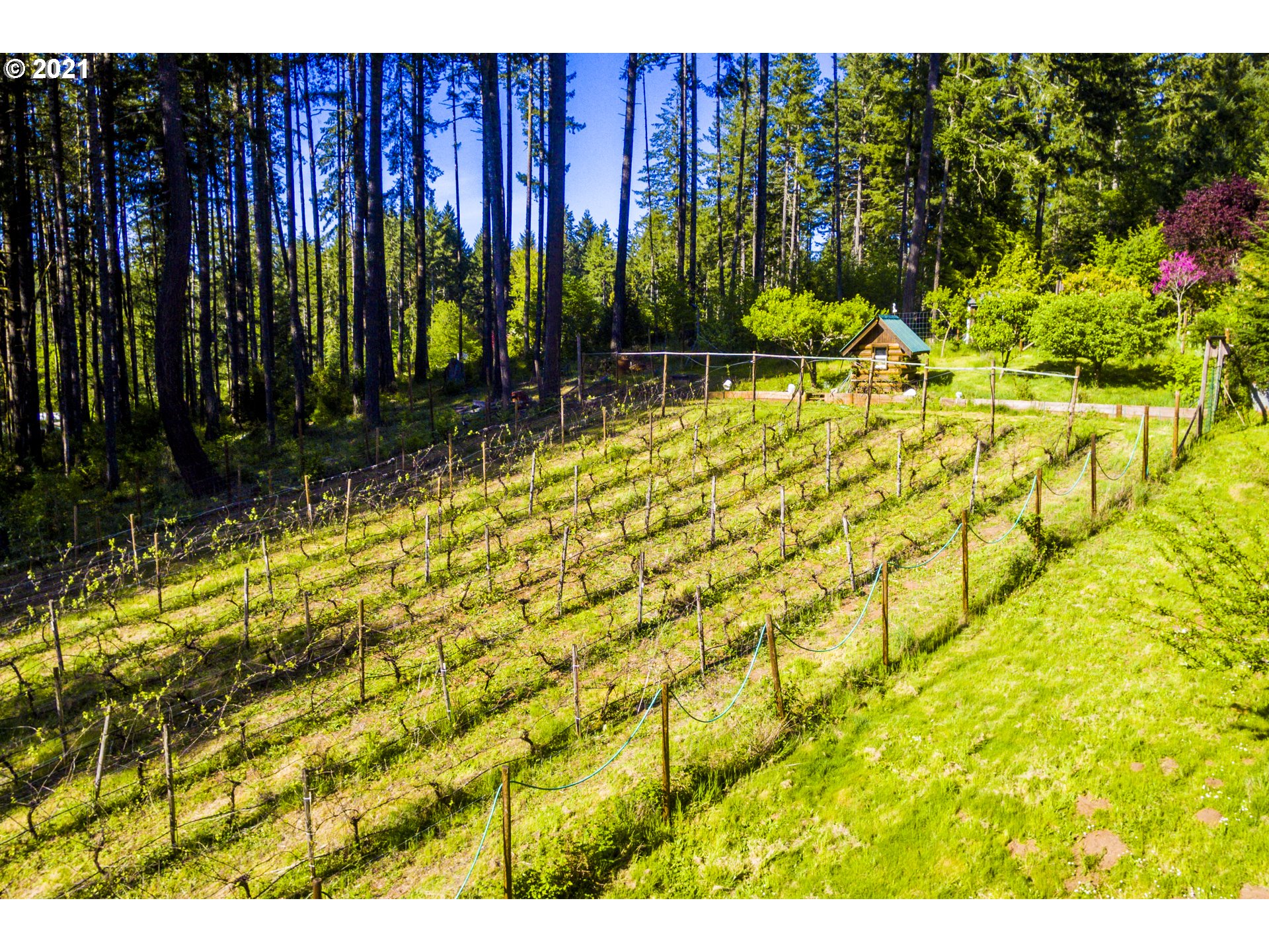 24679 West Demming Road Elmira, OR 97437 - Photo 8 of 32 Gallery Image 8