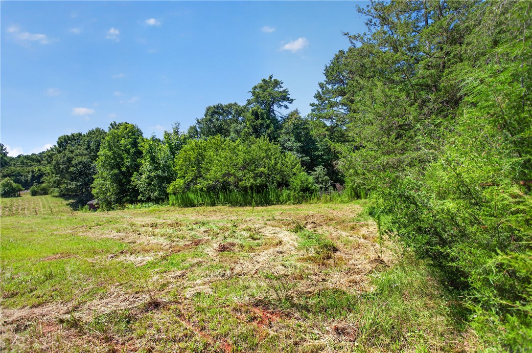 0 Seneca Springs Landing Road Seneca, SC 29678 - Photo 23 of 39 A spacious, cleared lot bordered by verdant trees offers a tranquil setting.