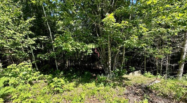 671 Stream Road Winterport, ME 04496 - Photo 21 of 47