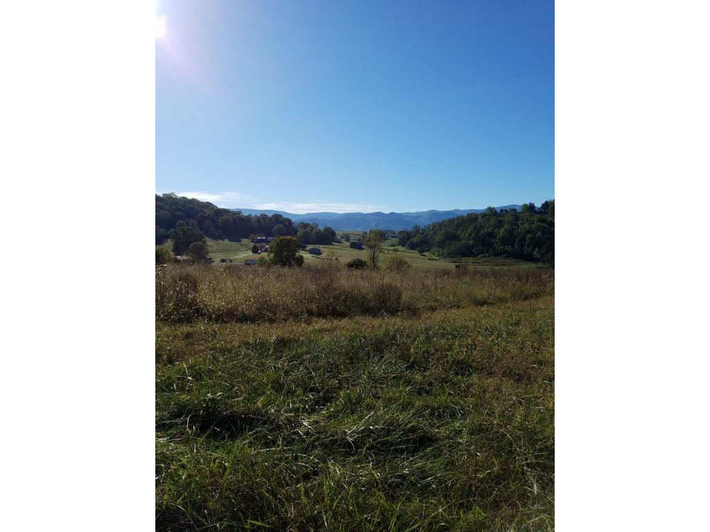 170 Bud Ball Road Limestone, TN 37681 - Photo 12 of 30 Photo 12