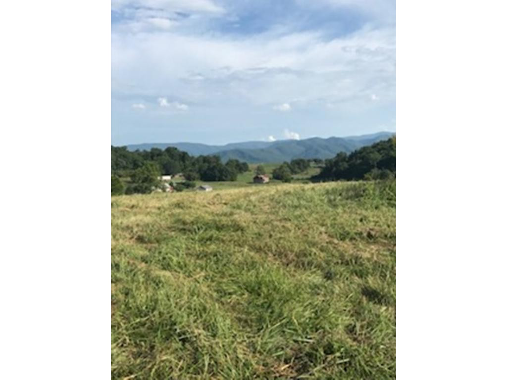 170 Bud Ball Road Limestone, TN 37681 - Photo 13 of 30 Photo 13