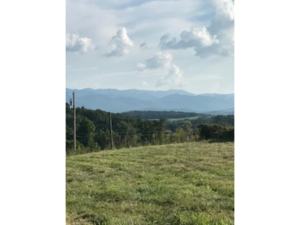 170 Bud Ball Road Limestone, TN 37681 - Photo 14 of 30 Photo 14