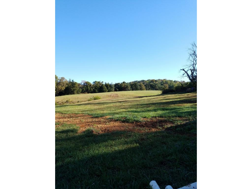 170 Bud Ball Road Limestone, TN 37681 - Photo 10 of 30 Photo 10