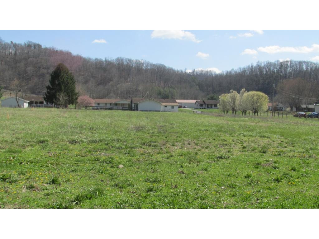 231 Price Road Elizabethton, TN 37643 - Photo 3 of 24 View from the back of property