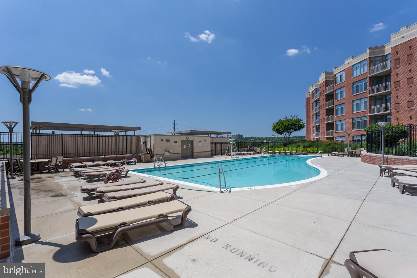 3650 South Glebe Road, Unit 638 Arlington, VA 22202 - Photo 21 of 35 a view of a swimming pool with a lounge chairs