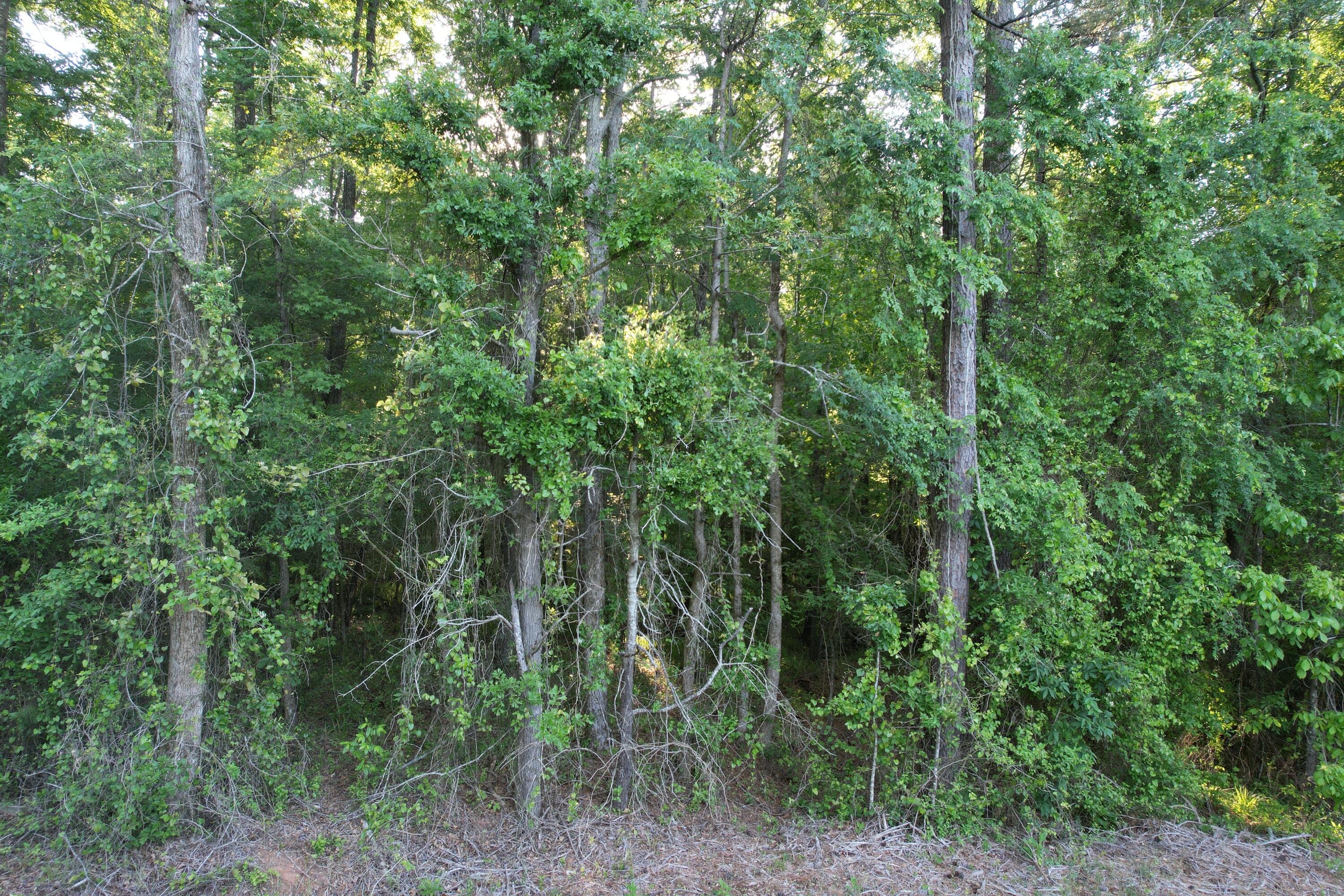 575 Lanham Road Edgefield, SC 29824 - Photo 3 of 5 DJI_0314