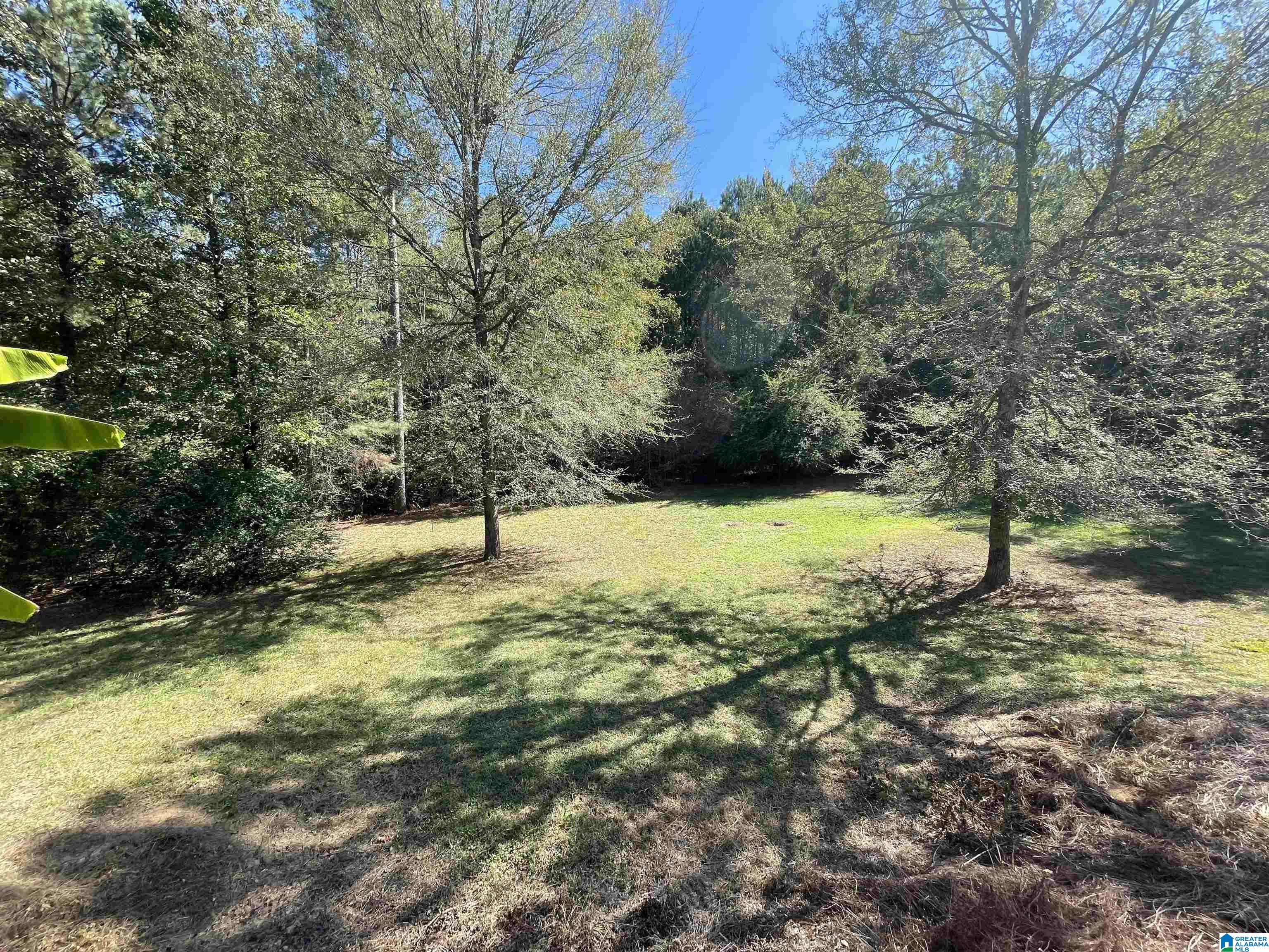 720 Chapel Road Warrior, AL 35180 - Photo 2 of 8