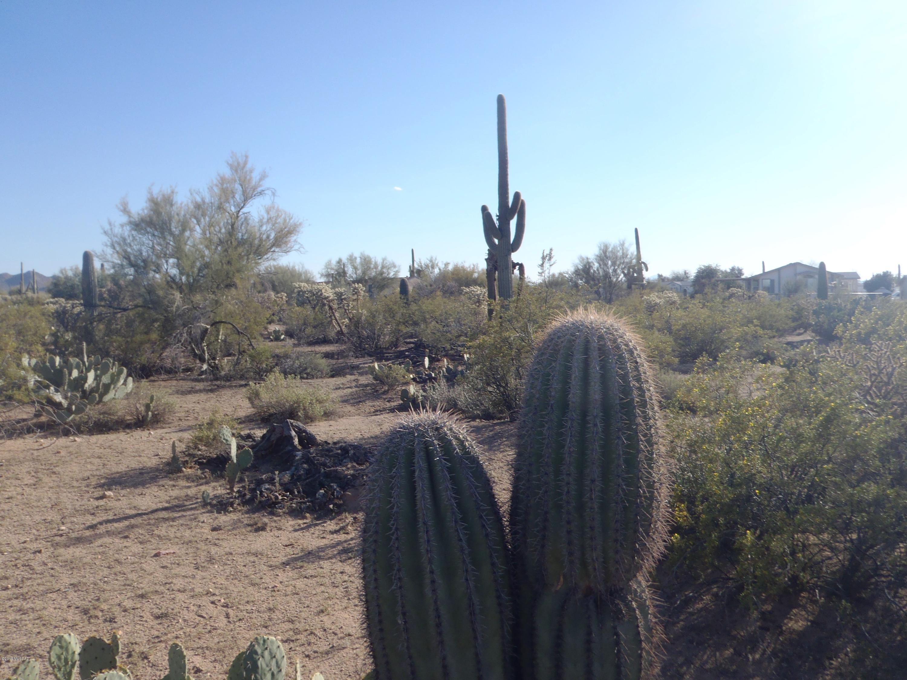 11015 West Picture Rocks Road Tucson, AZ 85743 - Photo 1 of 1 Gallery Image 1