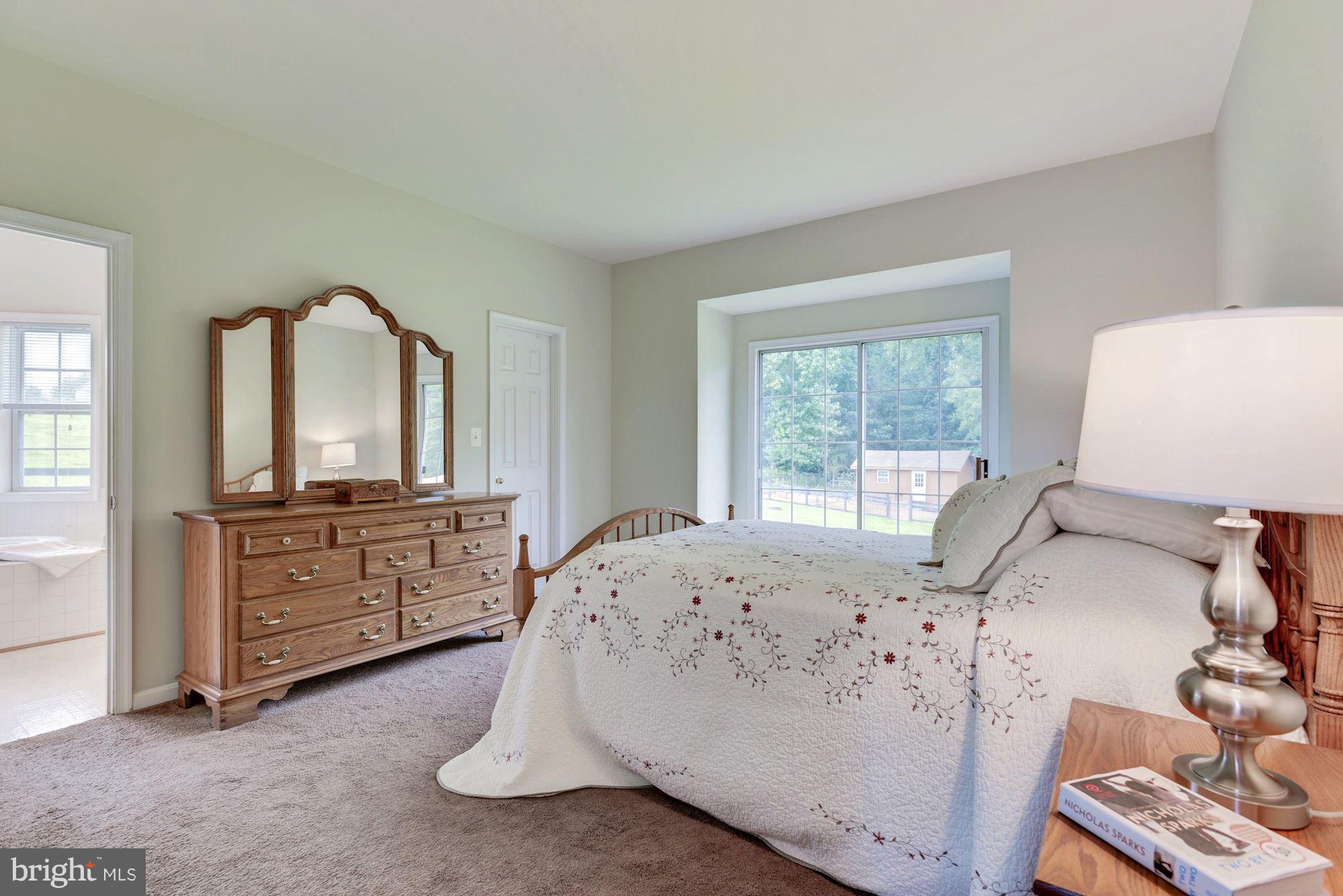 43661 Spinks Ferry Road Leesburg, VA 20176 - Photo 12 of 30 Master Bedroom