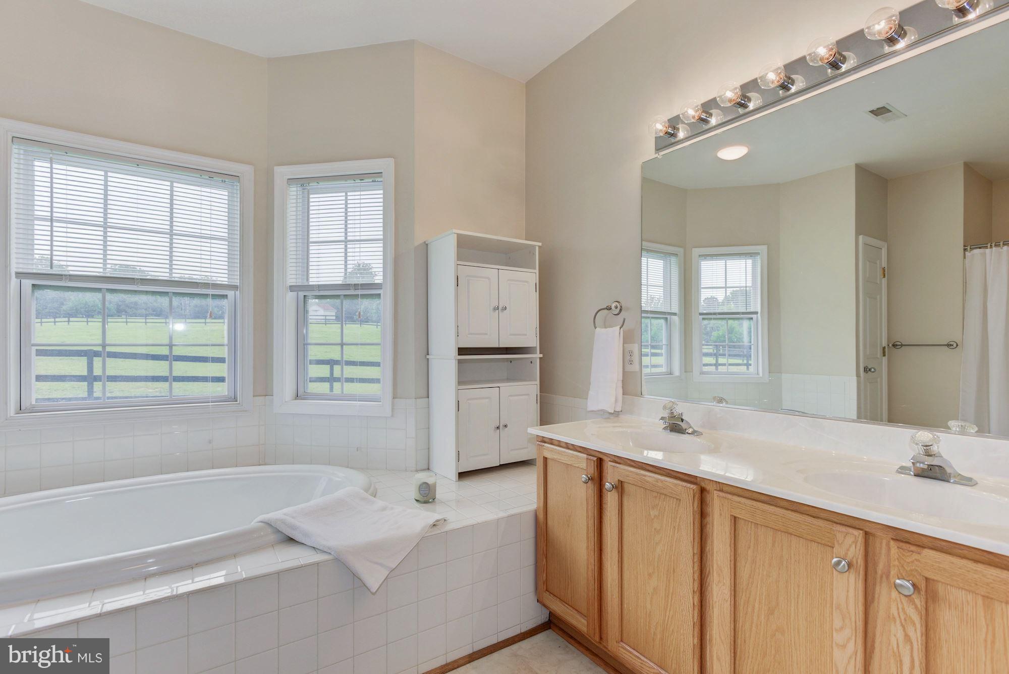 43661 Spinks Ferry Road Leesburg, VA 20176 - Photo 14 of 30 Light-Filled Master Bathroom