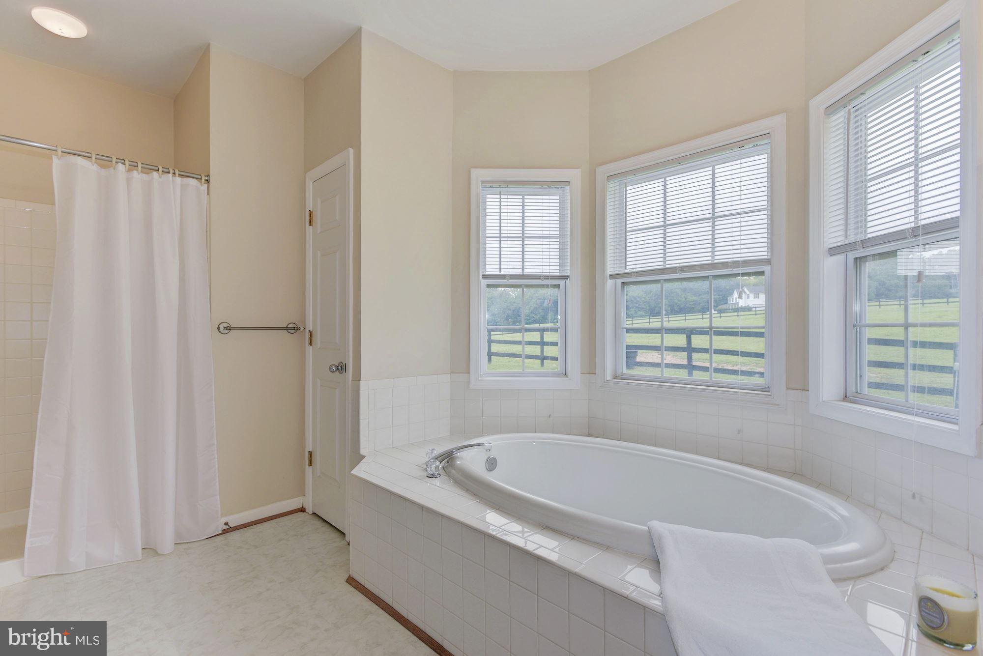 43661 Spinks Ferry Road Leesburg, VA 20176 - Photo 15 of 30 Master Bath with Soaking Tub and Separate Shower