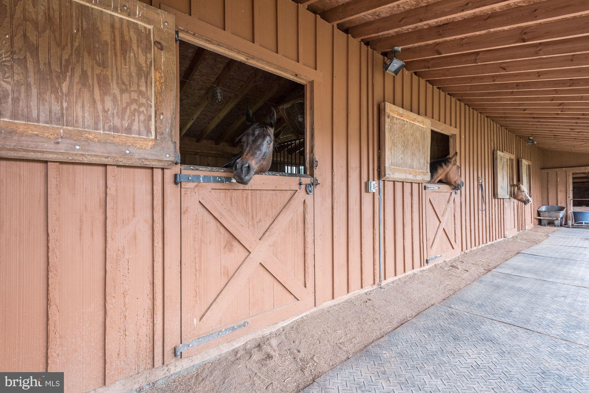 43661 Spinks Ferry Road Leesburg, VA 20176 - Photo 27 of 30 4-Stall Horse Barn with Storage & Tack Room