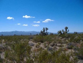Kit Carson Yucca, AZ 86438 - Photo 2 of 3 Additional Photo