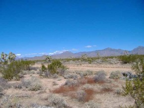Kit Carson Yucca, AZ 86438 - Photo 3 of 3 Additional Photo