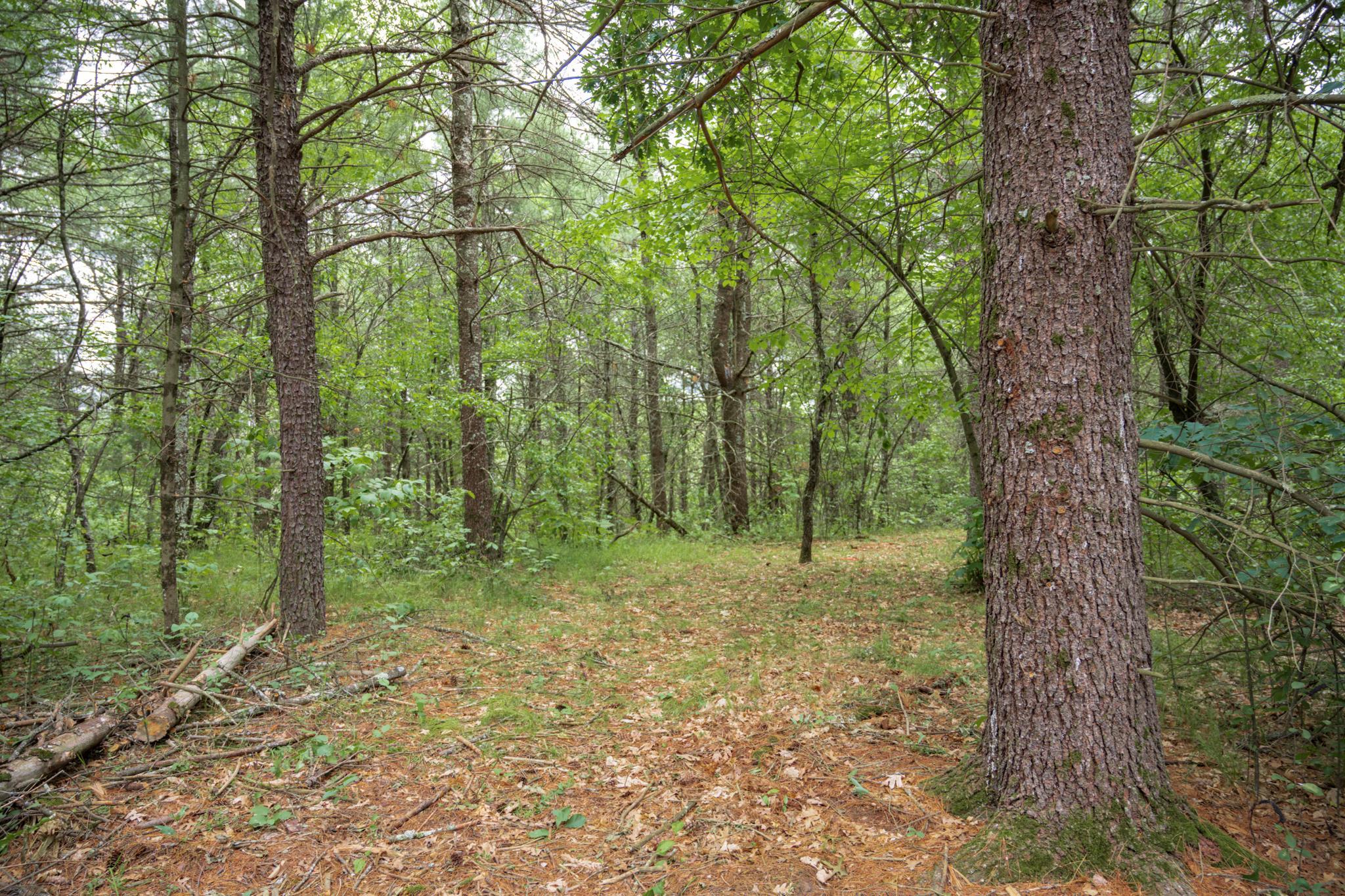 907 West Trout Valley Road Hancock, WI 54943 - Photo 23 of 48