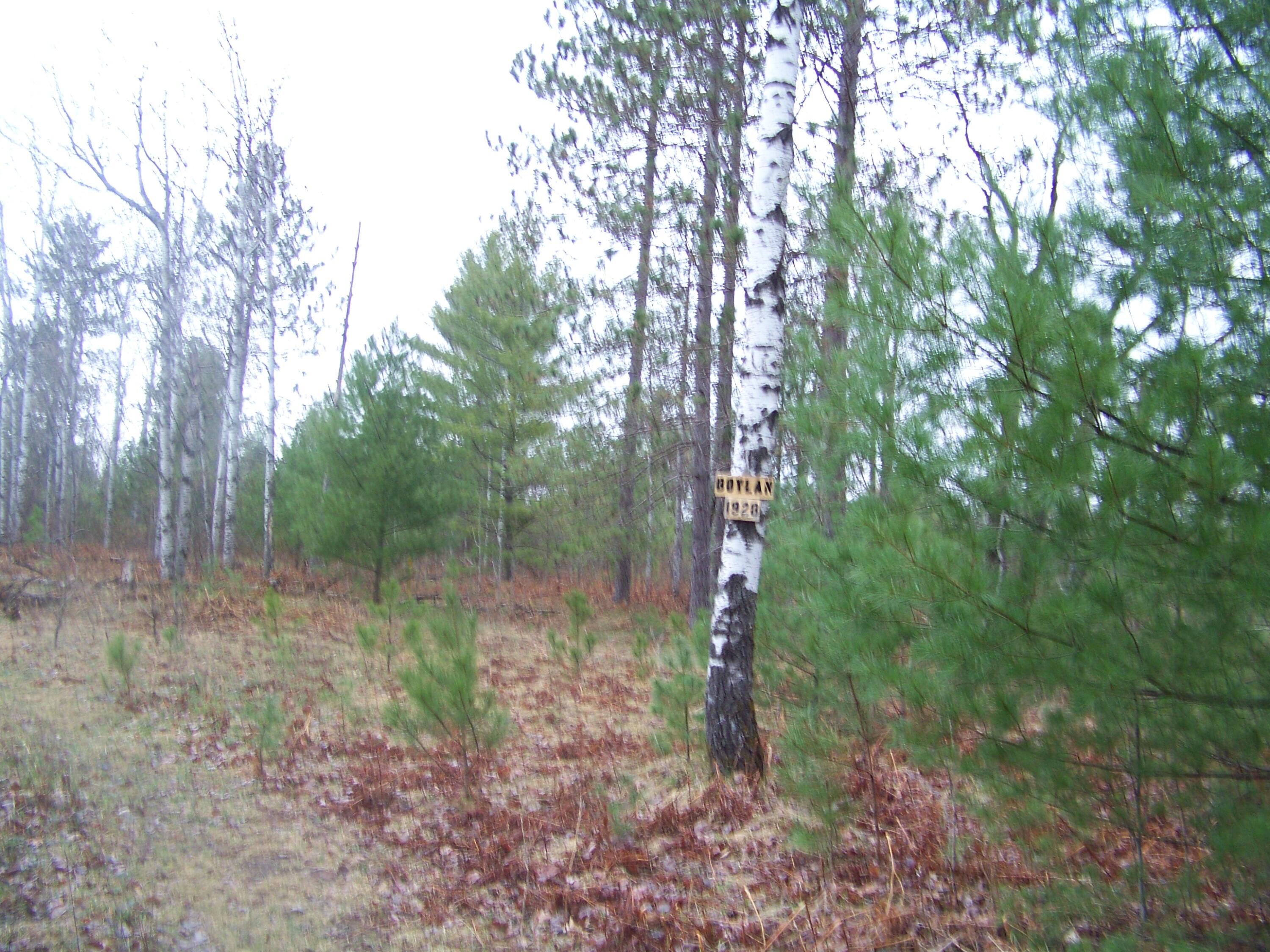 Emerald Lake Road Gaylord, MI 49735 - Photo 5 of 12 Gallery Image 5