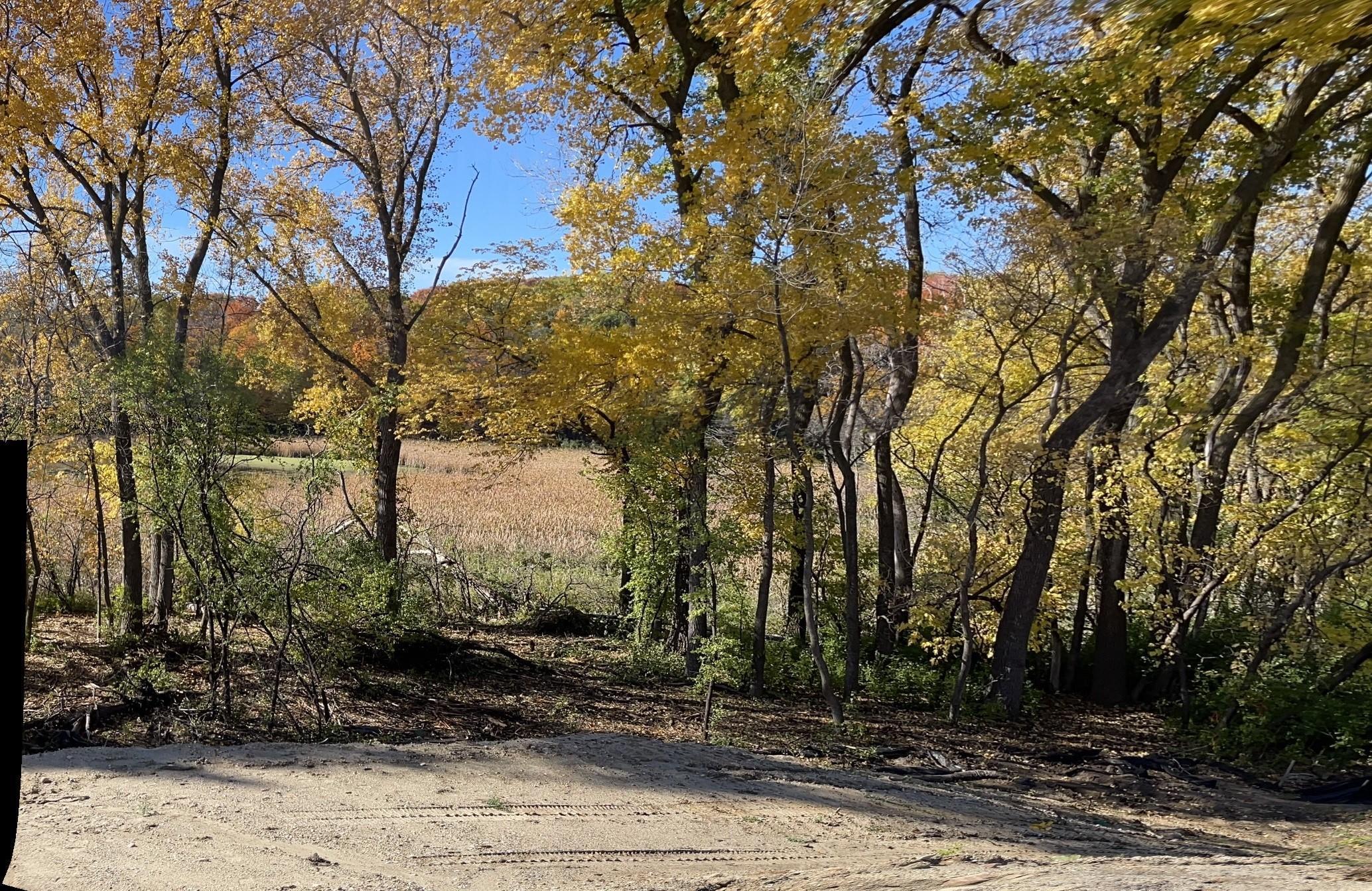 20468 Radisson Road Shorewood, MN 55331 - Photo 33 of 34