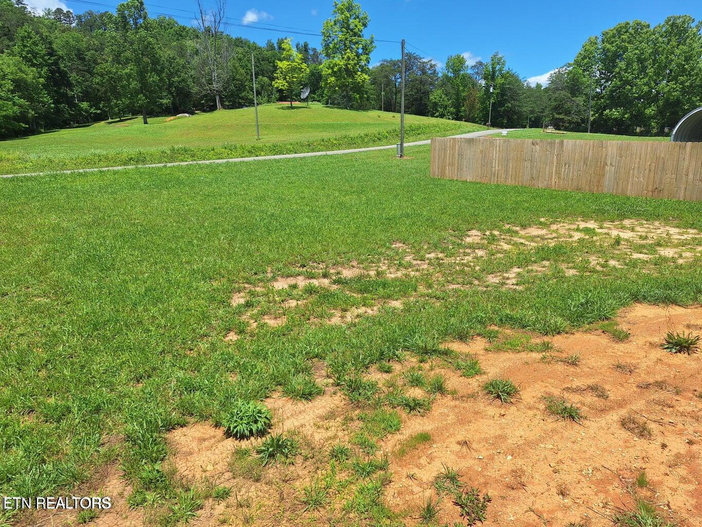 1450 Belltown Road Tellico Plains, TN 37385 - Photo 2 of 32 Front Yard