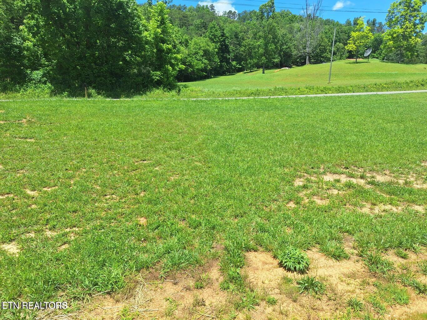 1450 Belltown Road Tellico Plains, TN 37385 - Photo 3 of 32 Front yard 2
